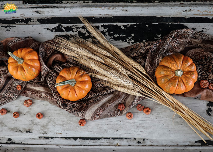 خواص کدو حلوایی برای پوست