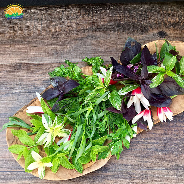 با سبزی‌ خوردن‌های پلاسیده چه کنیم؟