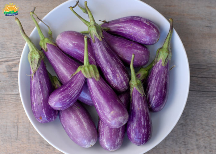 بادمجان افسانه‌ای