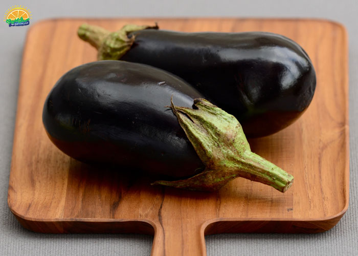 مواد مغذی بادمجان دلمه