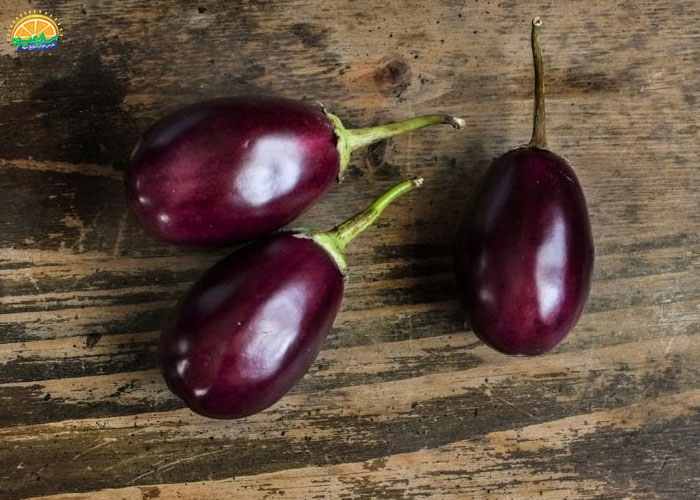 بادمجان هندی