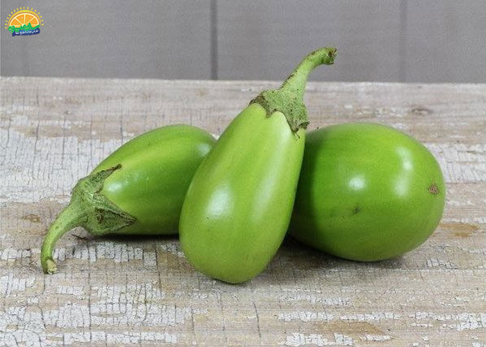 بادمجان سبز کوچک