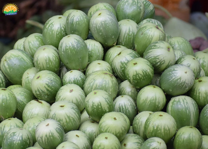 بادمجان تایلندی