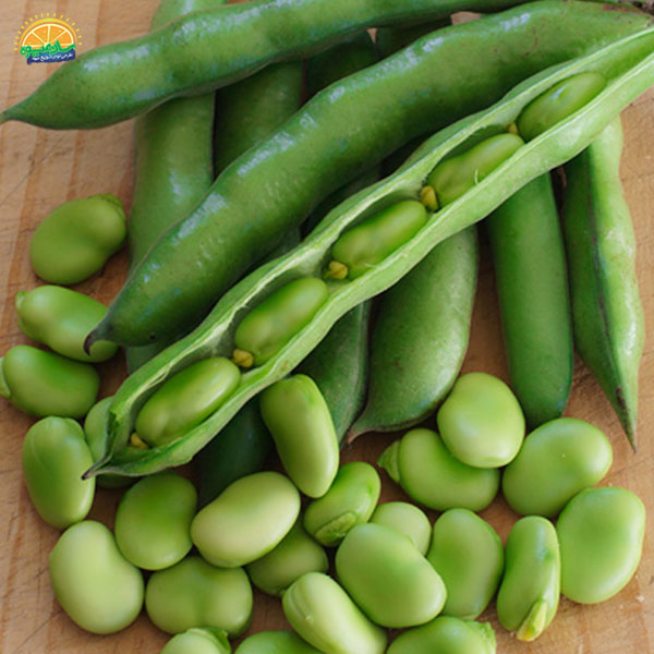 باقالی برای فشار خون