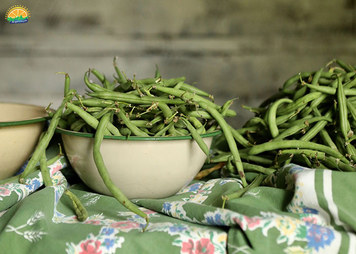 لوبیا سبز و بارداری