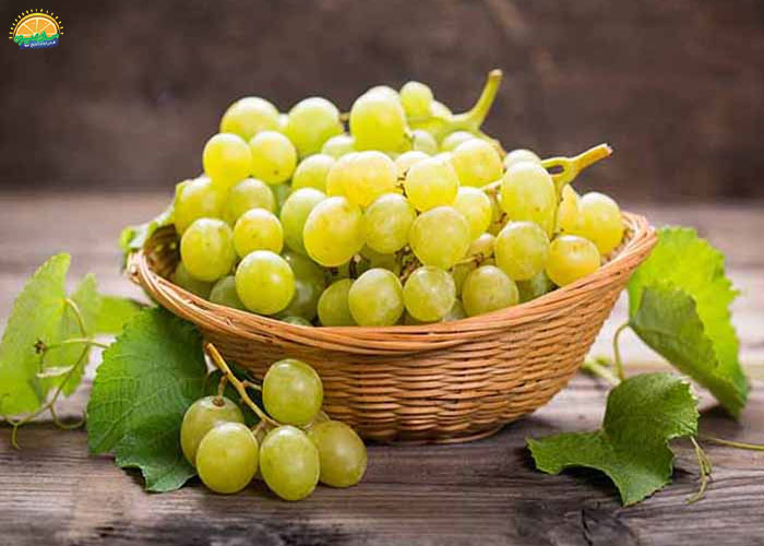 خواص انگور مهره