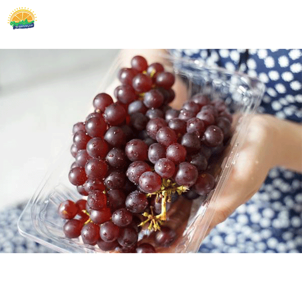 نکات خرید انگور یاقوتی