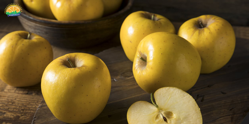 خواص انواع سیب برای سلامتی بدن