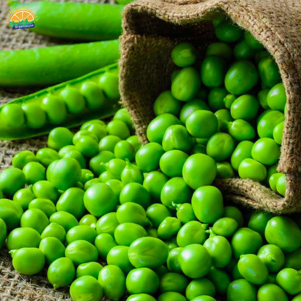 ذخیره و نگهداری از نخود فرنگی