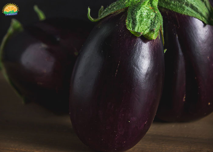 فواید بادمجان دلمه برای لاغری