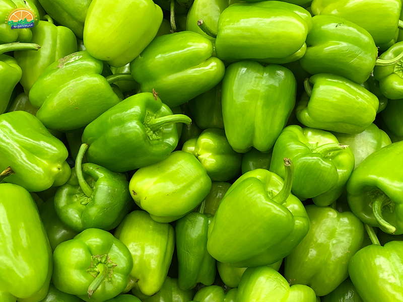 فواید غذایی فلفل دلمه برای سلامتی