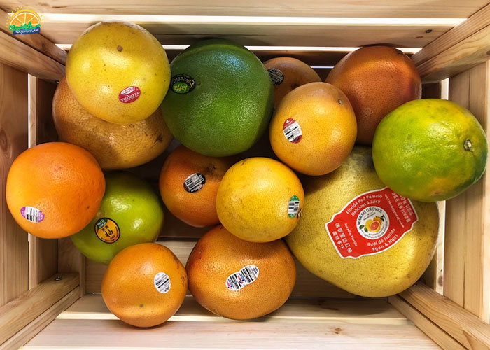 فواید گریپ فروت در بارداری