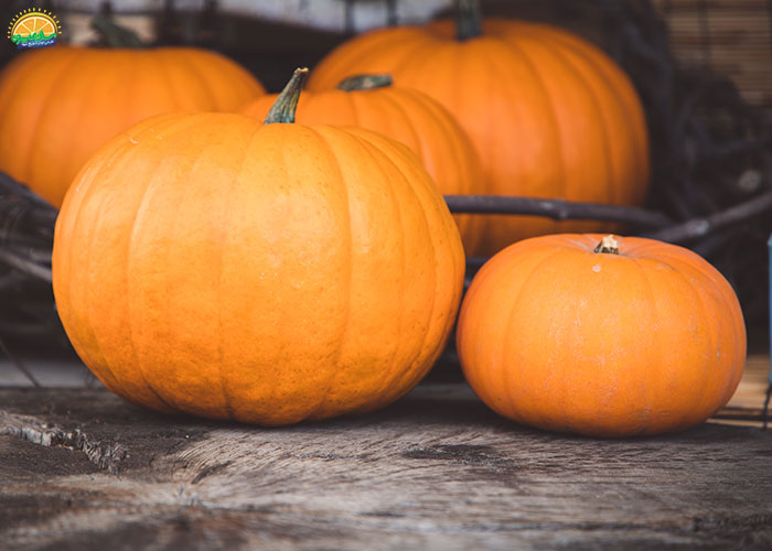 خواص فواید کدو حلوایی برای سلامتی