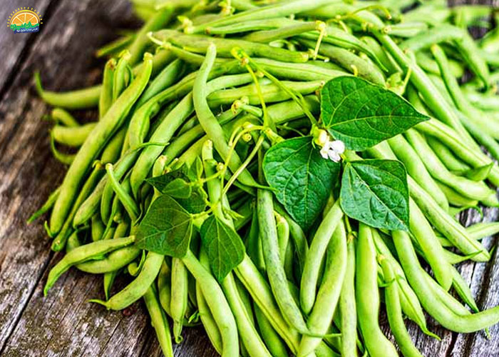 مصرف لوبیا سبز برای بدنسازان