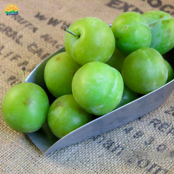 فواید مصرف گوجه سبز برای سلامتی