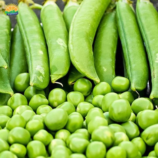 فواید نخود فرنگی برای سلامتی