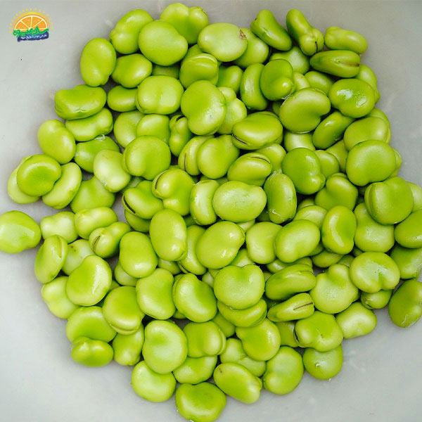 فواید سلامتی باقالی و ارزش درمانی آن