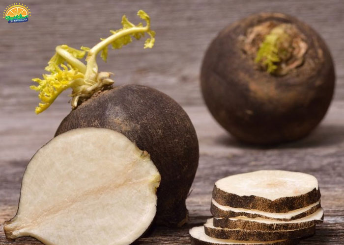 ترب سیاه مفید برای سلامت کبد 