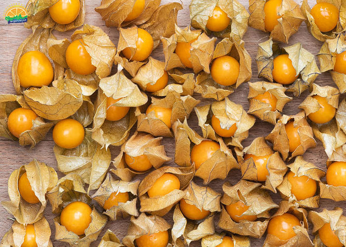 فیسالیس و جلوگیری از چین و چروک پوست
