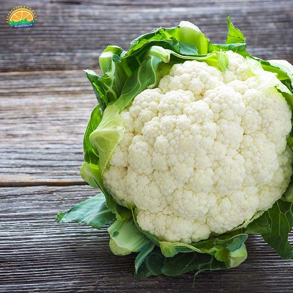 گل کلم سفید منبع بیرقیب مواد مغذی