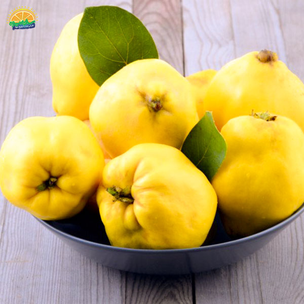 گردش خون و سلامت موها با مصرف به