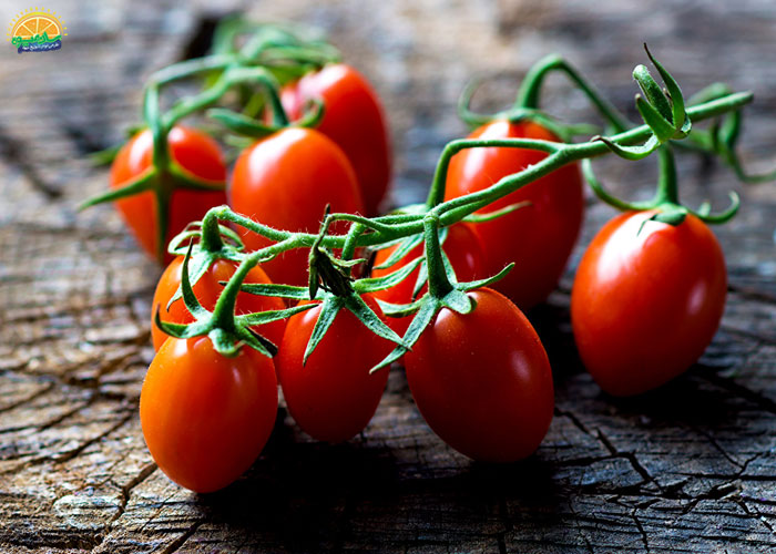 گوجه گیلاسی غنی از ریزمغذیها