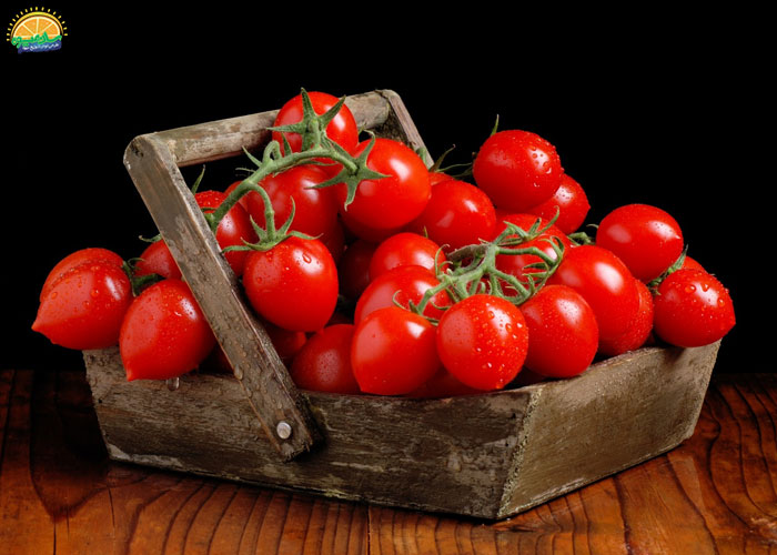 مواد مغذی گوجه گیلاسی