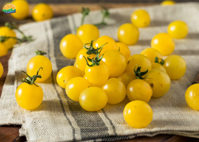 انواع گوجه گیلاسی - گوجه گیلاسی زرد