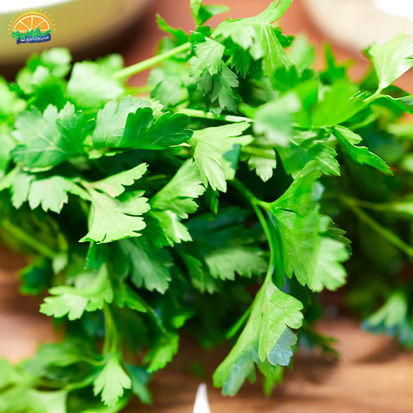 جعفری، عضو خون‌ساز بسته سبزی خوردن