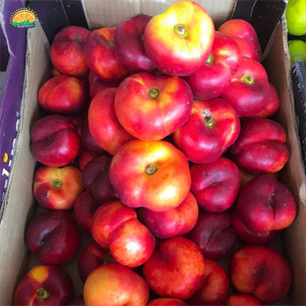 کاهش کلسترول با مصرف شلیل انجیری