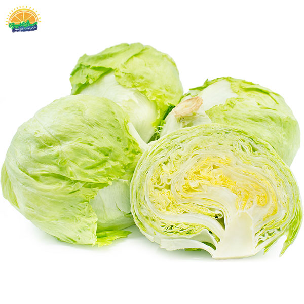 کاهو پیچ محصول فصل سرما