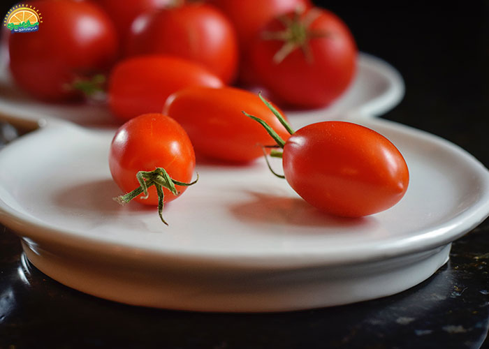 کاربردهای گوجه گیلاسی
