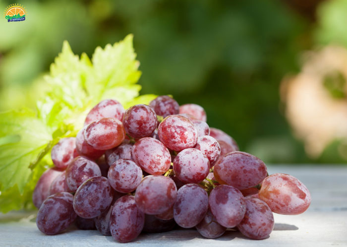 خرید انگور قرمز بی دانه از فروشگاه اینترنتی سان میوه