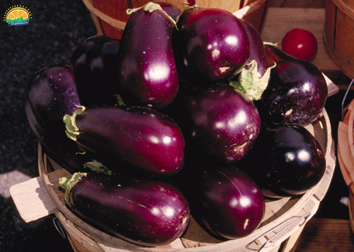 خرید بادمجان دلمه ای از فروشگاه اینترنتی سان میوه