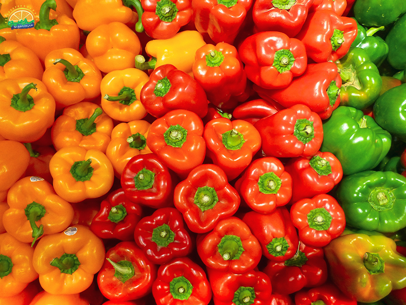 خرید فلفل دلمه