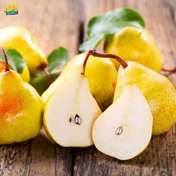 خرید آنلاین گلابی بیروتی