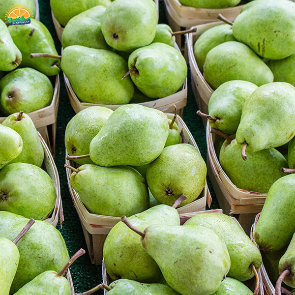 خرید گلابی بیروتی