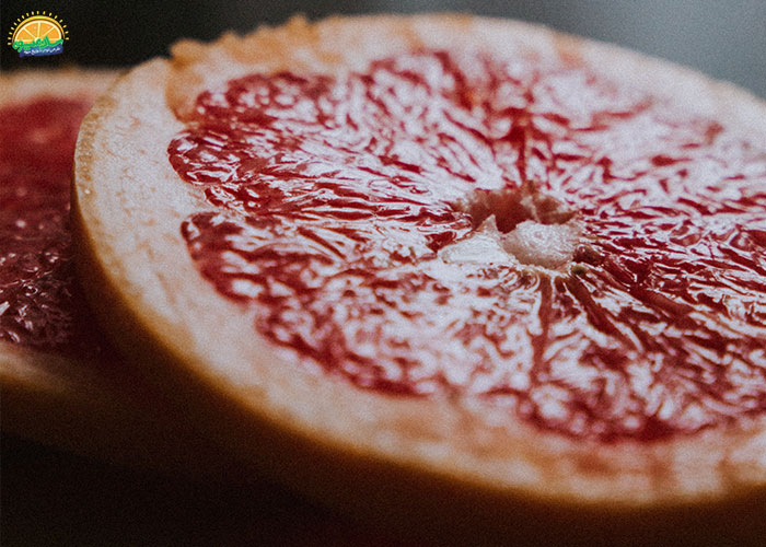 خرید گریپ فروت از میوهفروشی آنلاین سان میوه