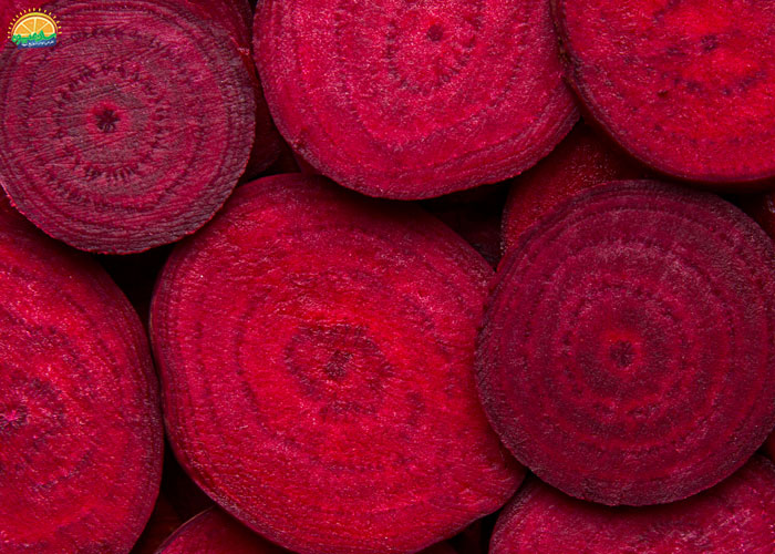 خرید آنلاین چغندر لبو