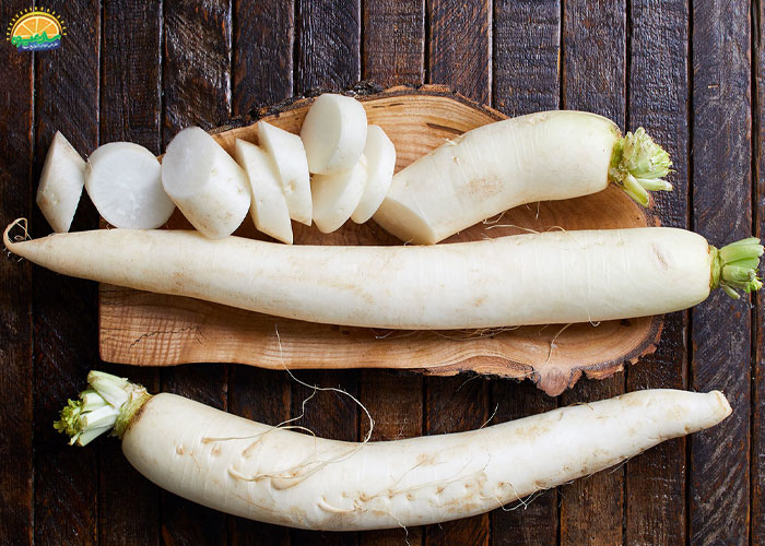 خرید ترب سفید