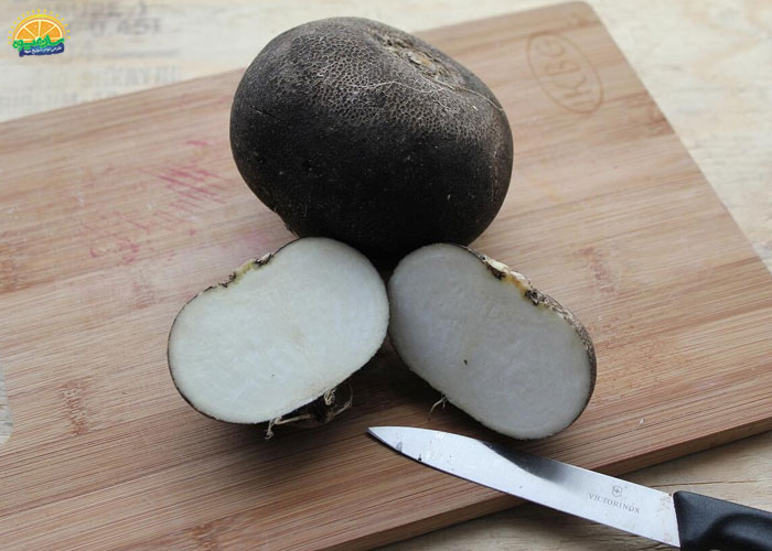 خرید ترب سیاه از میوه فروشی آنلاین سان میوه