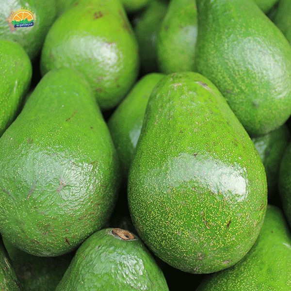 خطرات احتمالی مصرف آووکادو