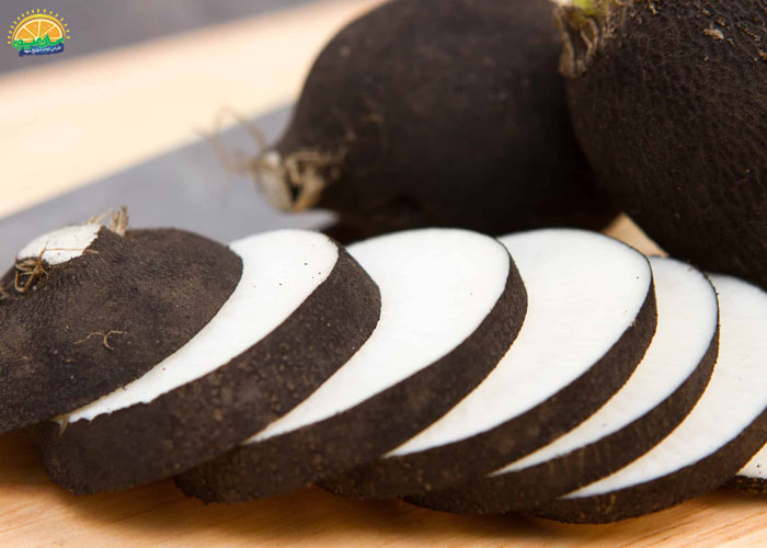 فواید آب ترب سیاه برای درمان اختلالات ادراری 