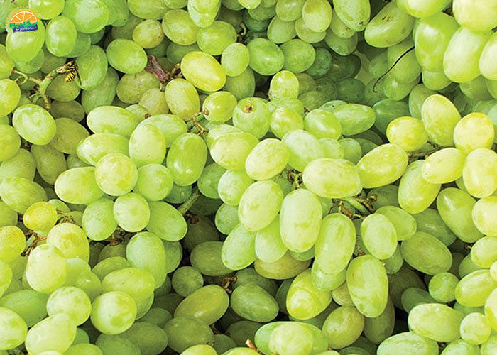 تقویت سیستم ایمنی بدن از خواص انگور مهره