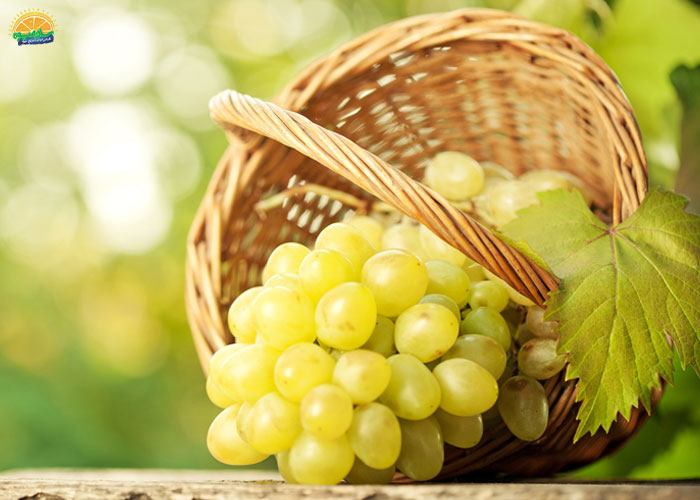 انگور مهره سرشار از آنتی‌اکسیدان