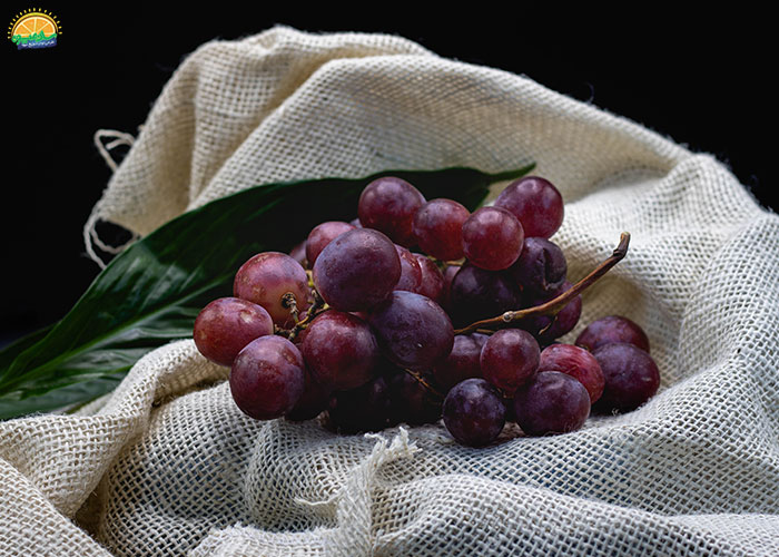 خواص و فواید انگور قرمز بی دانه
