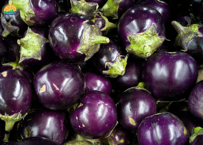 خواص بادمجان دلمه برای کرونا