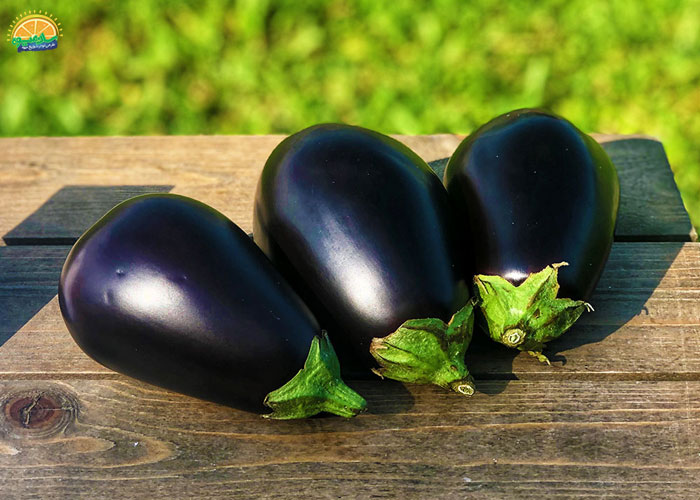 خواص بادمجان دلمه برای قلب