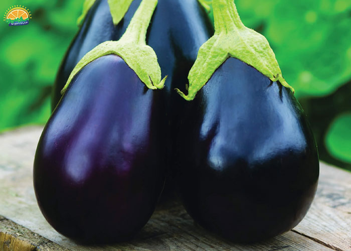 خواص بادمجان دلمه برای بیماران دیابتی