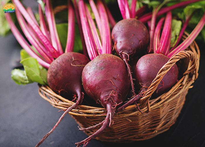 خواص چغندر لبو قرمز 